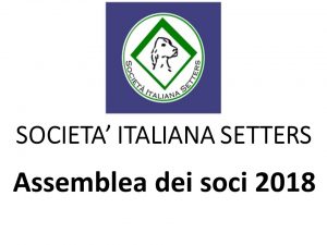 assemblea_setters